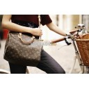 Сумка Louis Vuitton Monogram canvas Speedy 30 M40391