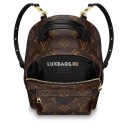 Рюкзак Louis Vuitton Monogram canvas Palm Springs Backpack Mini M42411